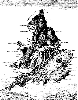 this illustration shows the goddess diana, english rose, princess of wales, duchess of cornwall. she is imprinted upon the panorama in her third and most fearsome aspect as the crone, or green witch. she is seated on the mutilated dolphin. her left hand launches the nuclear trident. from a 1702 drawing in the barton-booth gallery, warminster